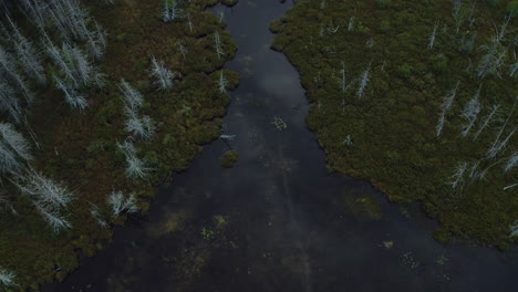 Aerial-view-of-a-shrinking-pond-in-the-middle-of-the-forest