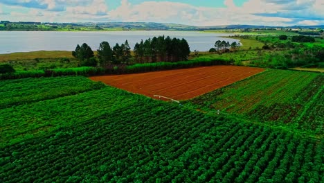 Aerial-drone-shot-flying-over-a-farmers-field-in-South-America-as-three-men-carry-pipe-across-the-field