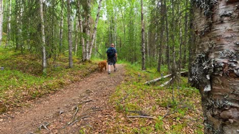 Man-and-dog-walking-away-from-the-camera-on-a-trail-through-a-forest