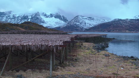 Cinematic-tracking-shot-of-fish-racks-in-the-Lofoten-Islands
