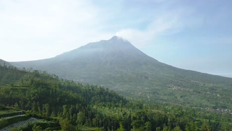 A-beautiful-presentation-of-Central-Java-where-a-pattern-of-cultivation-is-seen