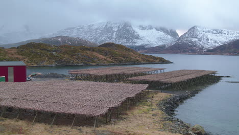 Stunning-cinematic-tracking-shot-of-fish-racks-on-the-Lofoten-Islands,-Norway