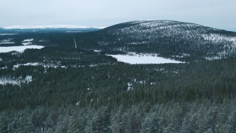 Cinematic-close-proximity-aerial-shot-through-mountain-trees