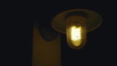 Fliegen-Schwärmen-Nachts-Auf-Einer-Energiesparenden-Spiralglühbirne