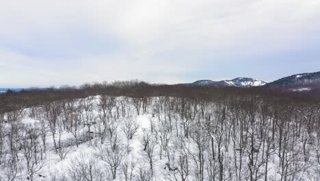 Aerial-LIFT-past-the-top-of-a-snow-covered-hill-to-reveal-fields-among-an-endless-winter-forest