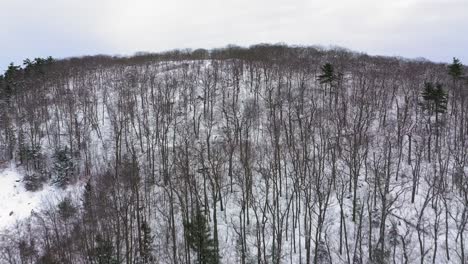 Aerial-footage-flying-up-towards-the-top-of-a-forested-snow-covered-hill