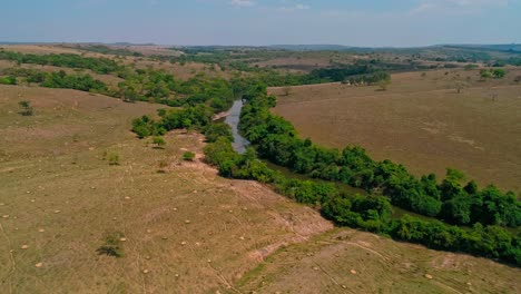 Aerial-shot-flying-towards-green-trees-surrounding-a-river-in-a-dry-arid-landscape