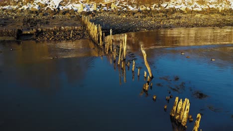 Aerial-SLIDE-past-the-decaying-posts-of-an-old-dock-while-a-line-of-Mallards-swim-towards-a-snow-dusted-shore