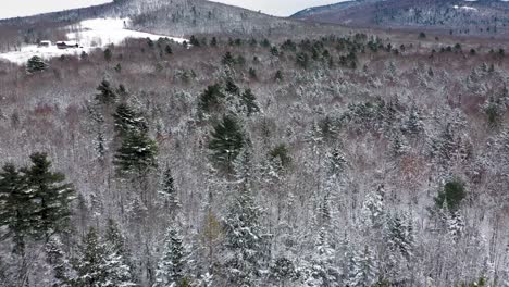 Luftaufnahmen,-Die-Sich-über-Einen-Dunklen,-Kalten-Teich-Und-Einen-Schneebedeckten-Wald-Wölben