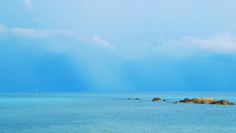 Calm-before-the-storm,-seagulls-on-rock-in-Caribbean-Sea-during-rain-season