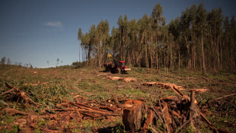 Motion-timelapse-of-deforestation