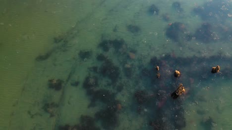 Slow-aerial-SLIDE-TOP-DOWN-past-the-corner-of-an-old-defunct-dock-system-surrounded-by-cold-water-and-dark-seaweed
