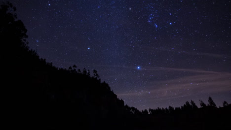 Stunning-cinematic-timelapse-of-a-starry-sky-above-a-silhouetted-forest