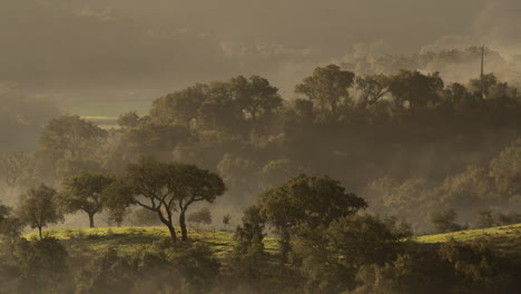 Absolutely-stunning-shot-of-flowing-mist-across-Portuguese-hills