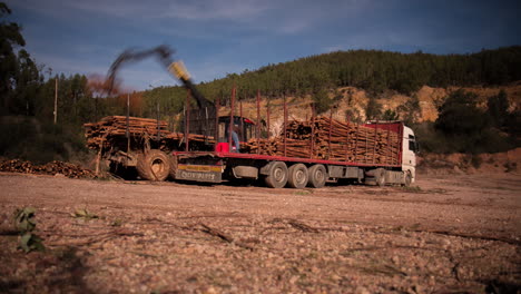 Motion-timelapse-of-tree-trunks-being-loaded-onto-a-lorry