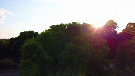 Suburb-England,-drone-going-up-from-forest-at-sunset