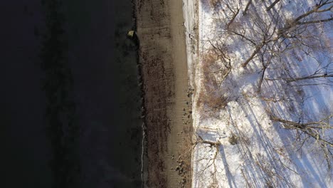Aerial-TOP-DOWN-flying-over-a-cold-winter-beach-at-dawn-with-gentle-waves-and-long-tree-shadows-visible