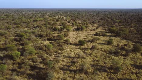 Aerial-shot-of-an-endless-savannah-landscape-in-Africa-straight-horizon