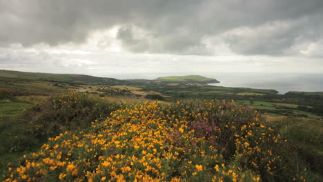 Atemberaubende-Bewegungszeitraffer-Von-Pembrokeshire-Moorland-Und-Küste