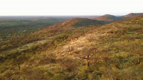 Camera-descending-closer-to-trees-at-a-hill-side-in-Africa