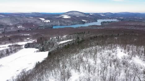 Aerial-ORBIT-around-the-top-of-a-snow-covered-hill-to-reveal-fields-and-lakes-among-an-endless-winter-forest