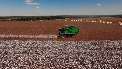 A-combine-tractor-gathers-cotton-from-a-field,-drone-shot