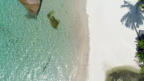 Aerial,-birdseye,-drone-shot-over-the-shallow,-turquoise-sea,-palm-trees-and-a-paradise-beach,-on-a-sunny-day,-in-Koh-Kood,-Thailand,-Asia