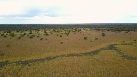 Aerial-shot-of-a-dry-savannah-during-the-dry-season