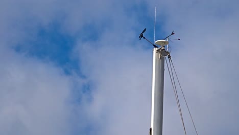 Eine-Aufnahme-Einer-Antenne-Mit-Blauem-Himmel-Und-Bewölktem-Hintergrund