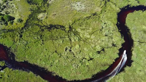 Top-view-as-a-motor-boat-going-through-a-green-swamp