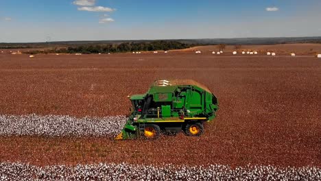 Aerial-view-of-tractor-harvesting-farm-of-white-cotton-plants-in-a-field