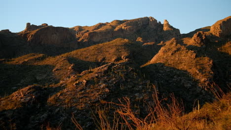 Verloren-In-Der-Wunderschönen-Wüstenlandschaft-Der-Flora-Von-Arizona-Zur-Goldenen-Stunde-Zur-Abenddämmerung