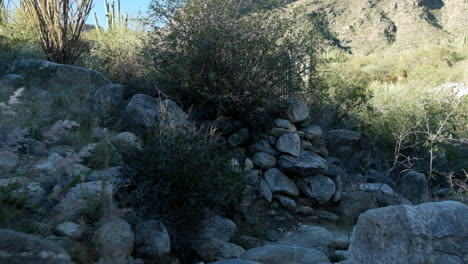 Wegweisend-Durch-Die-Wildnis-Des-Mysteriösen-Trockenen-Felspfades-Der-Wüste-Von-Arizona
