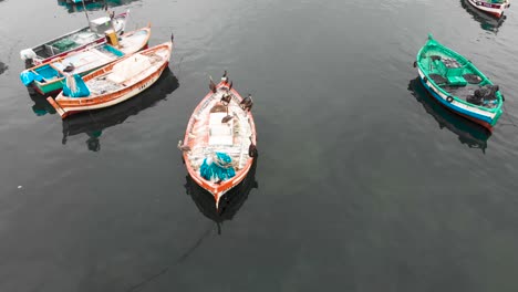 Orbitale-Aufnahme-Von-Fischerbooten-Mit-Mehreren-Darauf-Ruhenden-Seevögeln