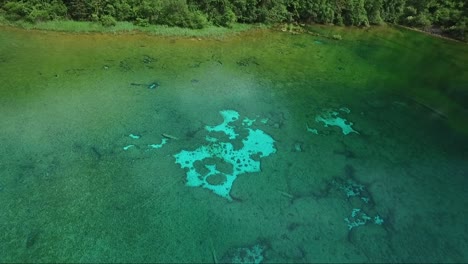 Faszinierende-Luftaufnahme-über-Einem-Flachen-See,-Der-Mit-Komplizierten-Vegetationsmustern-Bedeckt-Ist