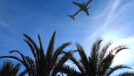 Palm-trees-in-the-foreground-with-an-airplane-flying-in-the-blue-sky