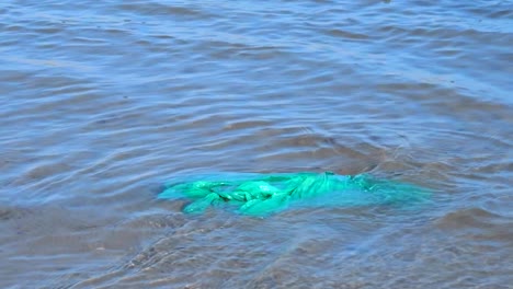 Eine-Plastiktüte,-Die-In-Einem-Wassersystem-Schwimmt