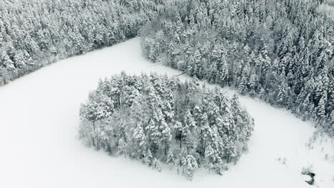 Aerial,-tilt-down,-drone-shot,-towards-a-island,-full-of-snow,-covered-trees,-on-Haukkalampi-pond,-surrounded-by-snowy,-ice-and-winter-forest,-on-a-cloudy-day,-in-Nuuksio-national-park,-in-Finland