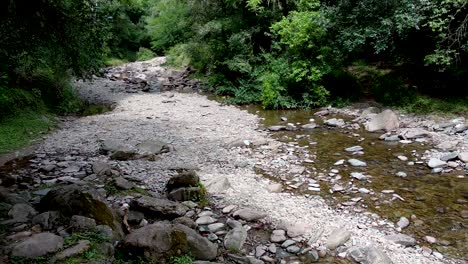 View-across-pebble-river-bed-trickling-stream-through-woodland-area