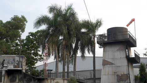 Palm-trees-waving-in-the-wind-on-industrial-terrain