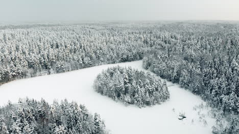 Aerial,-orbit,-drone-shot,-around-a-island,-full-of-snow,-covered-trees,-on-Haukkalampi-pond,-surrounded-by-snowy,-ice-and-winter-forest,-on-a-cloudy-day,-in-Nuuksio-national-park,-in-Finland