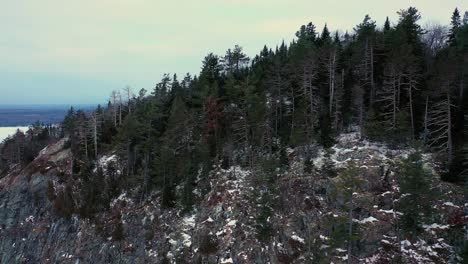 Aerial-ORBIT-around-the-forest-at-the-top-of-a-steep-rocky-cliff-in-winter