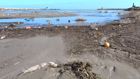 Contaminación-Plástica-Y-Peces-Muertos-En-La-Desembocadura-De-Un-Río