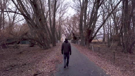A-man-walks-through-a-dark-and-cold-forest---from-behind-dolly-forward