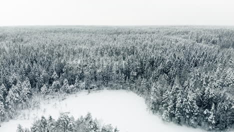 Aerial,-drone-shot,-over-a-island,-on-Haukkalampi-pond,-towards-endless,-winter-forest,-of-snow-covered,-pine-or-spruce-trees,-on-a-cloudy-day,-in-Nuuksio-national-park,-in-Espoo,-Uusimaa,-Finland