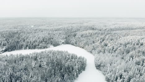 Aerial,-drone-shot,-towards-a-river-turn,-on-Haukkalampi-pond,-surrounded-by-snow,-covered-trees-and-endless,-winter-forest,-on-a-overcast-day,-in-Nuuksio-national-park,-in-Finland