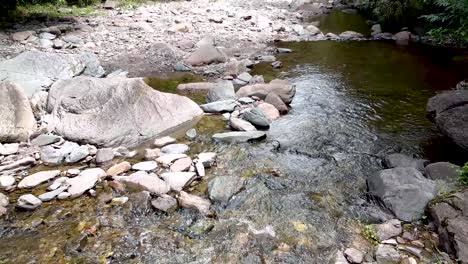 River-bed-water-from-falls-washing-over-rocky-pebble-stream-through-woodlands
