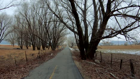 Hyperlapse-of-a-paved-bike-and-running-trail-through-the-trees-in-winter