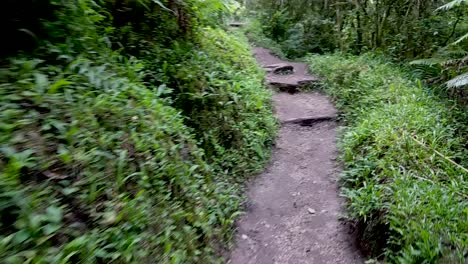 POV-hyperlapse-walking-along-woodland-trail,-up-hills-over-steps,-logs-stone-trail