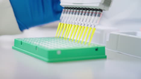 Close-Up-Research-Scientist-Dispensing-Yellow-Liquid-From-Multichannel-Pipette-Into-Microplate-On-Laboratory-Bench,-4K